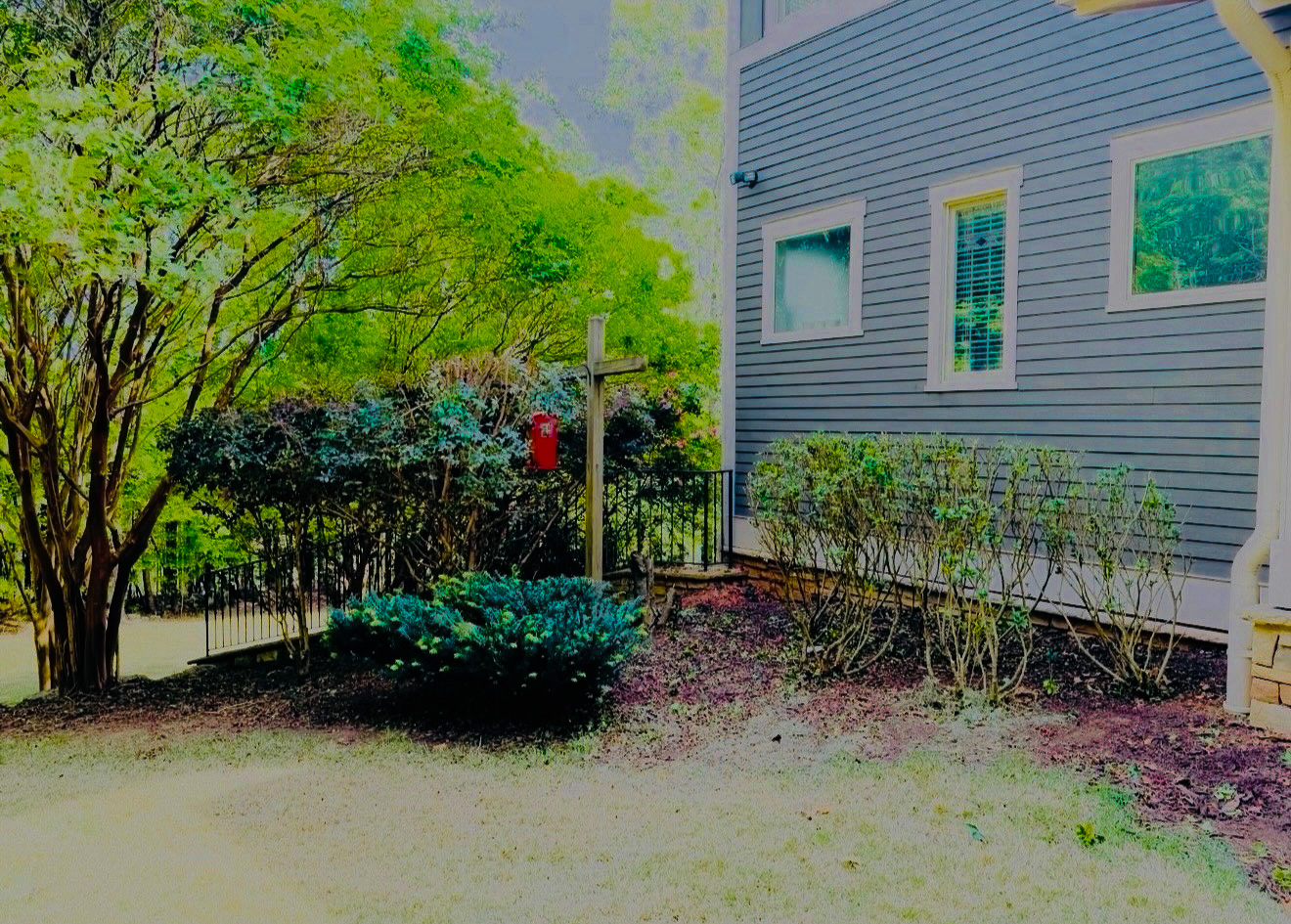 Bush trimming after