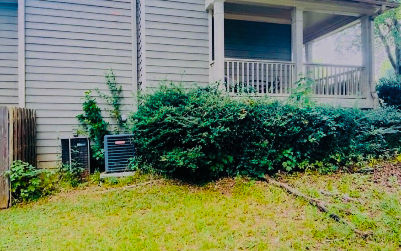 Bush trimming before