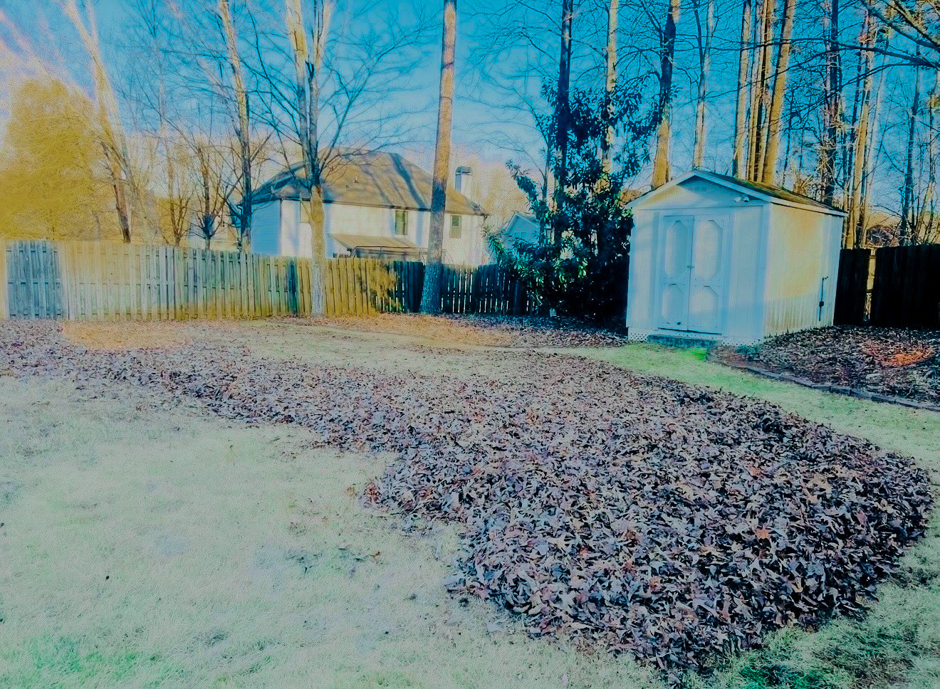 Leaf blowing before