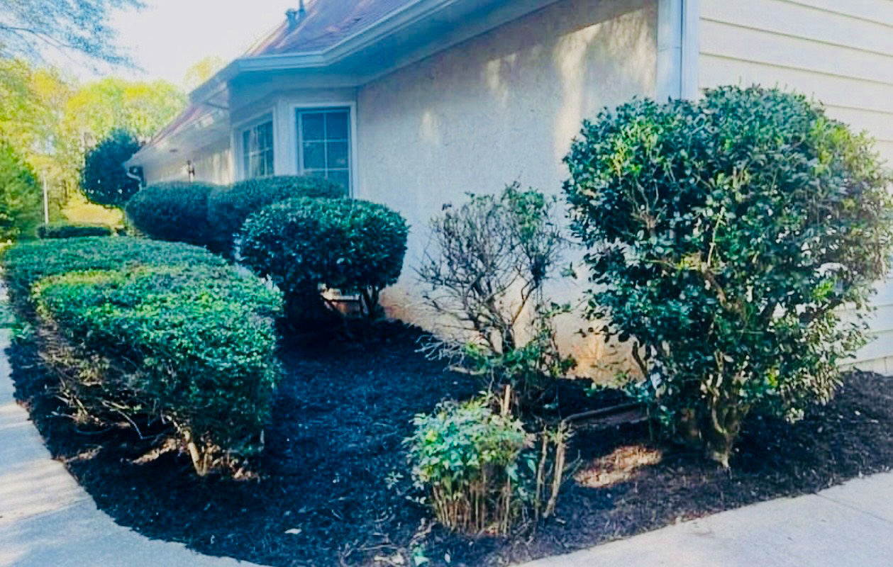 Mulch after