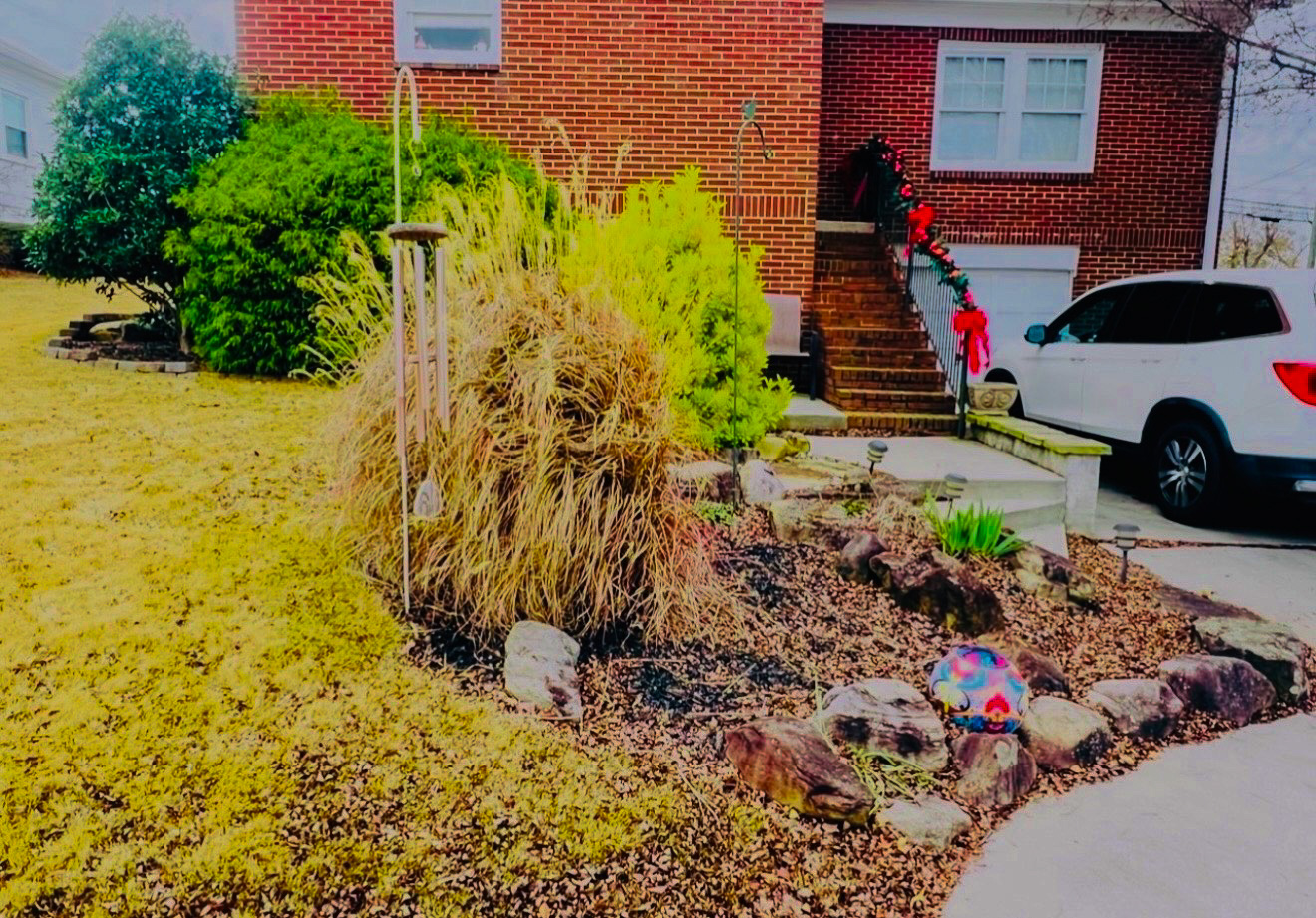 Mulch before