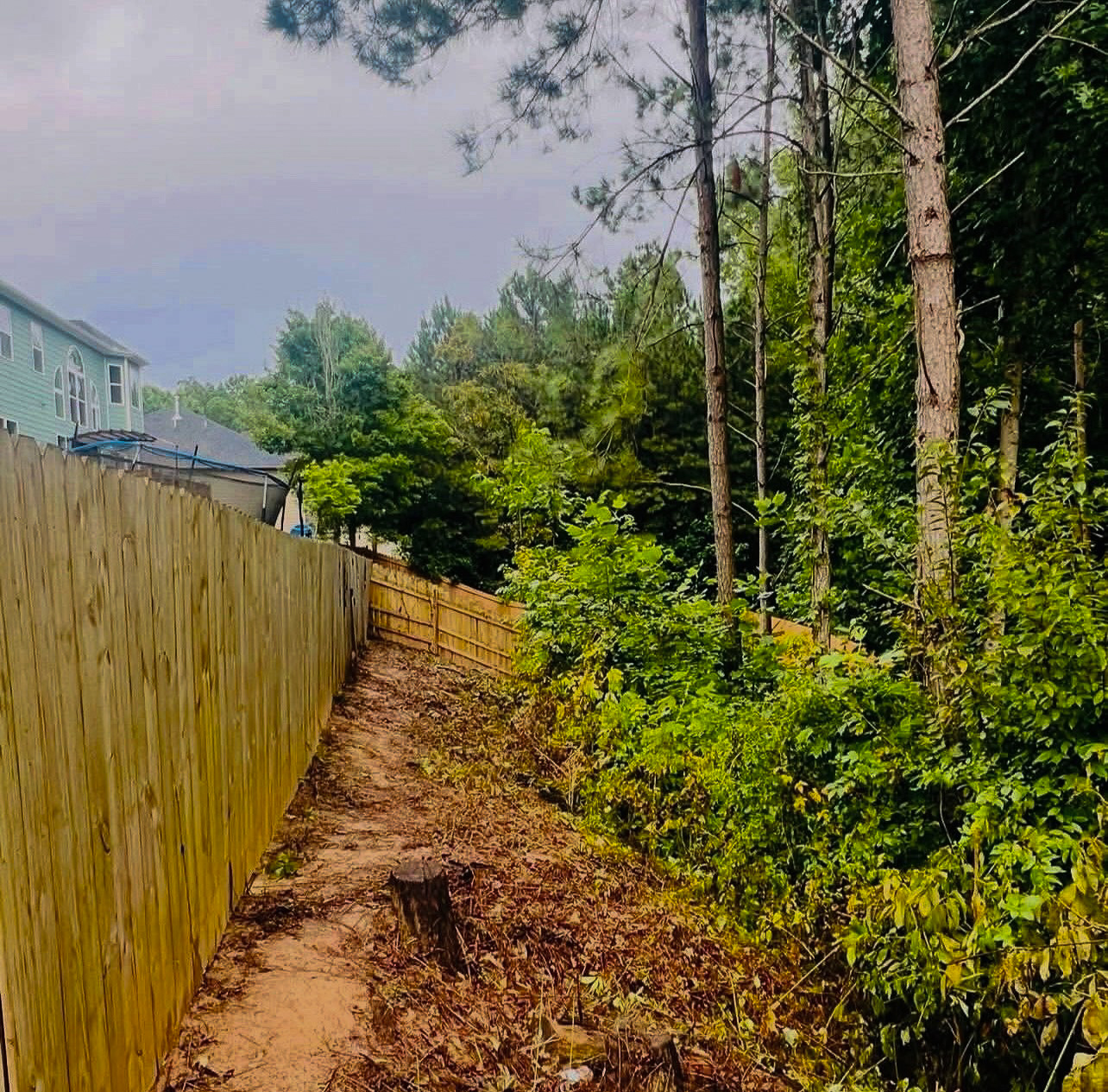 Overgrowth cleanup after