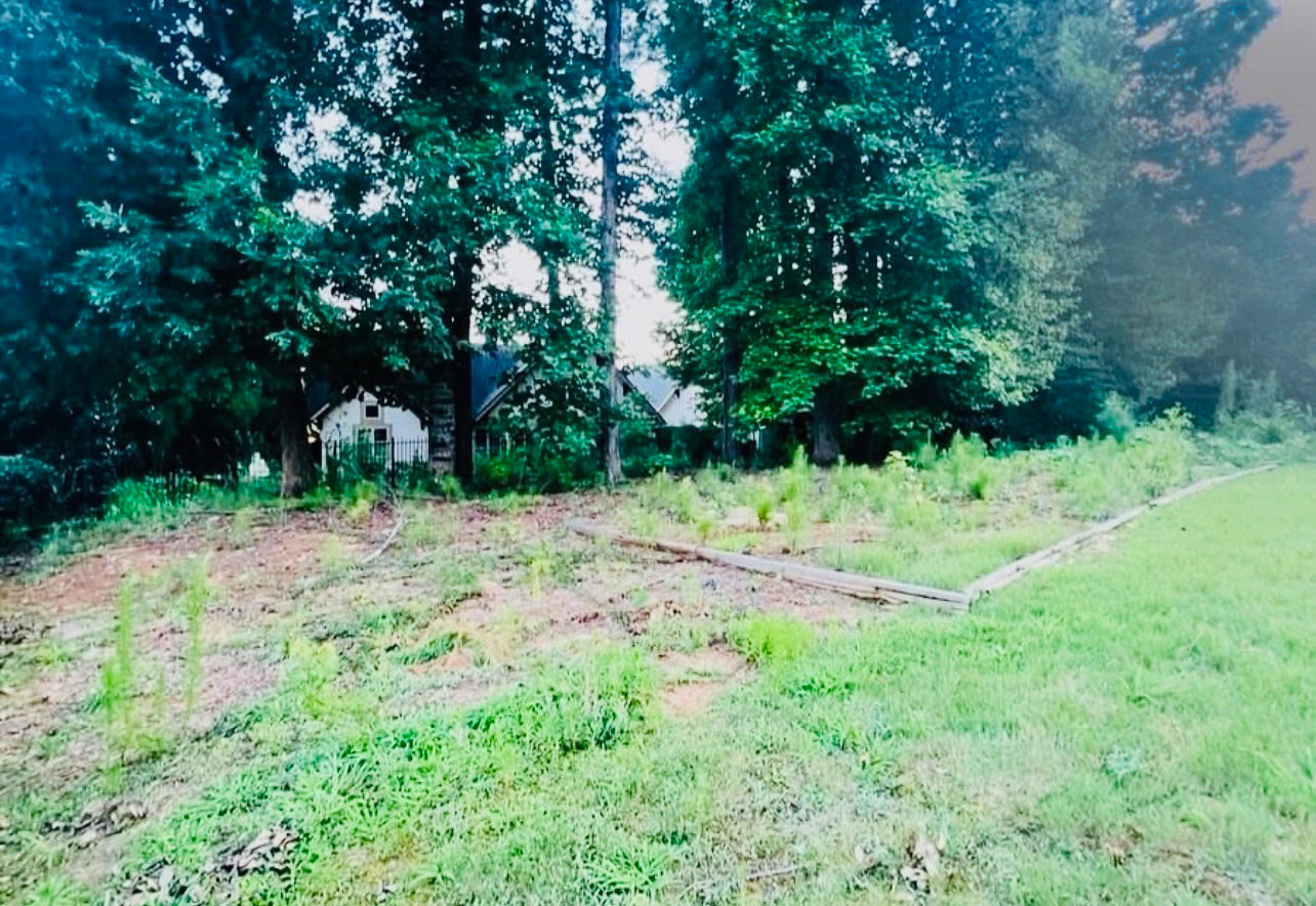 Overgrowth cleanup before