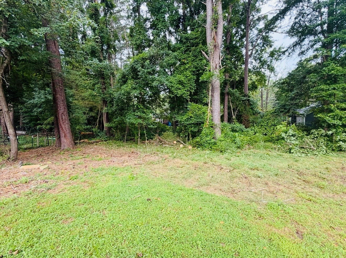 Overgrowth cleanup after