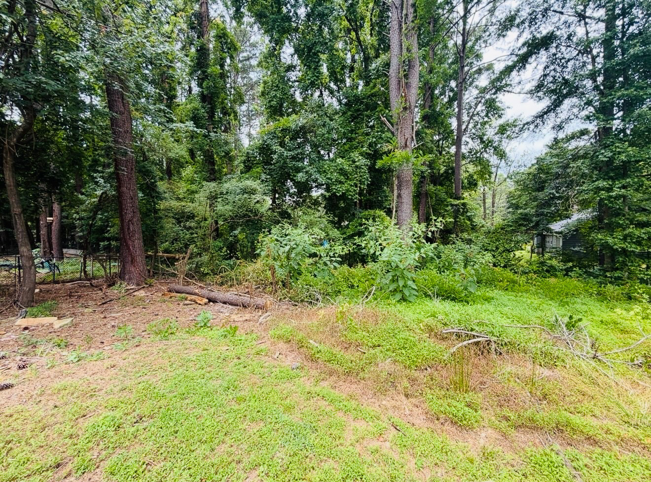 Overgrowth cleanup before