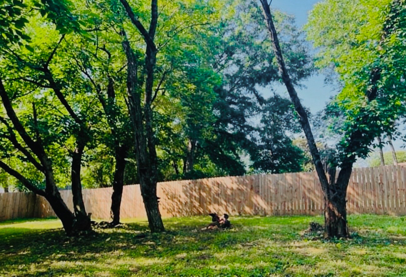 Overgrowth cleanup after