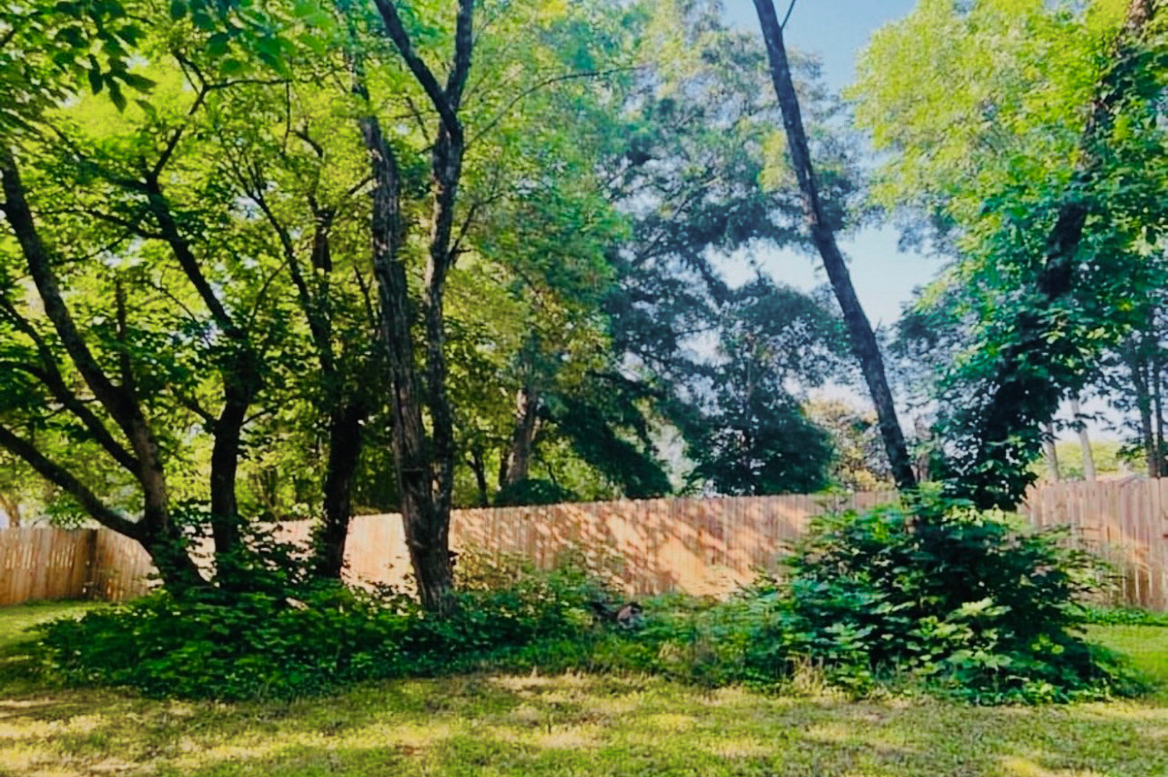 Overgrowth cleanup before